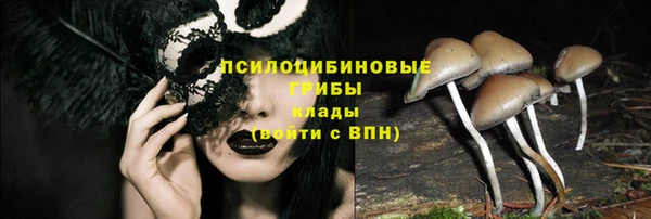 первитин Нягань