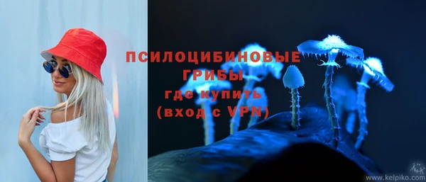 a pvp Няндома