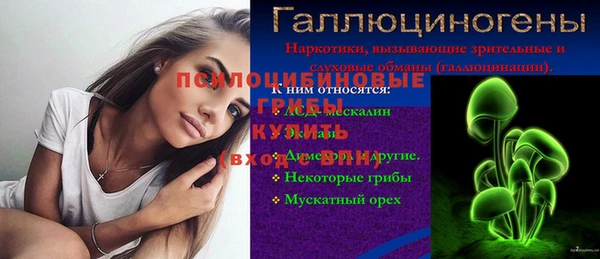 a pvp Няндома
