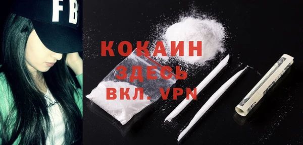 молекула духа Осинники