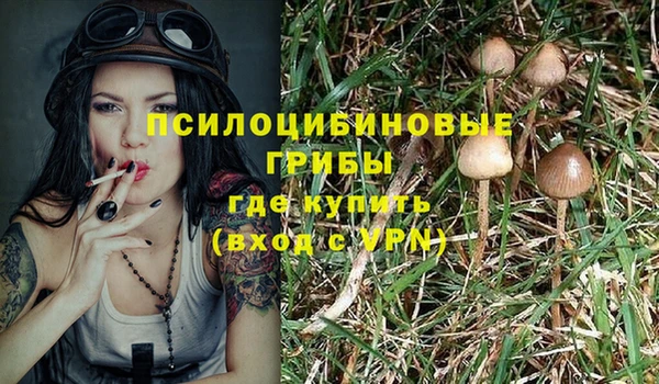 a pvp Няндома