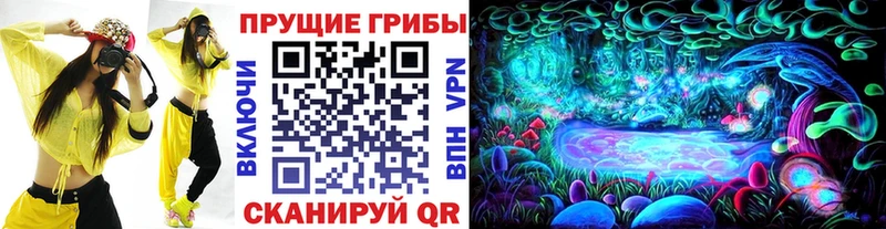 kraken ТОР  Бавлы  Галлюциногенные грибы Psilocybe 
