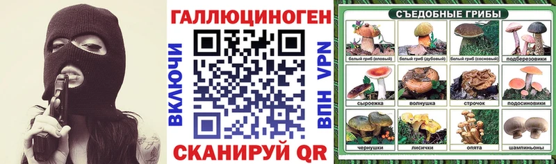 Галлюциногенные грибы Cubensis Бавлы